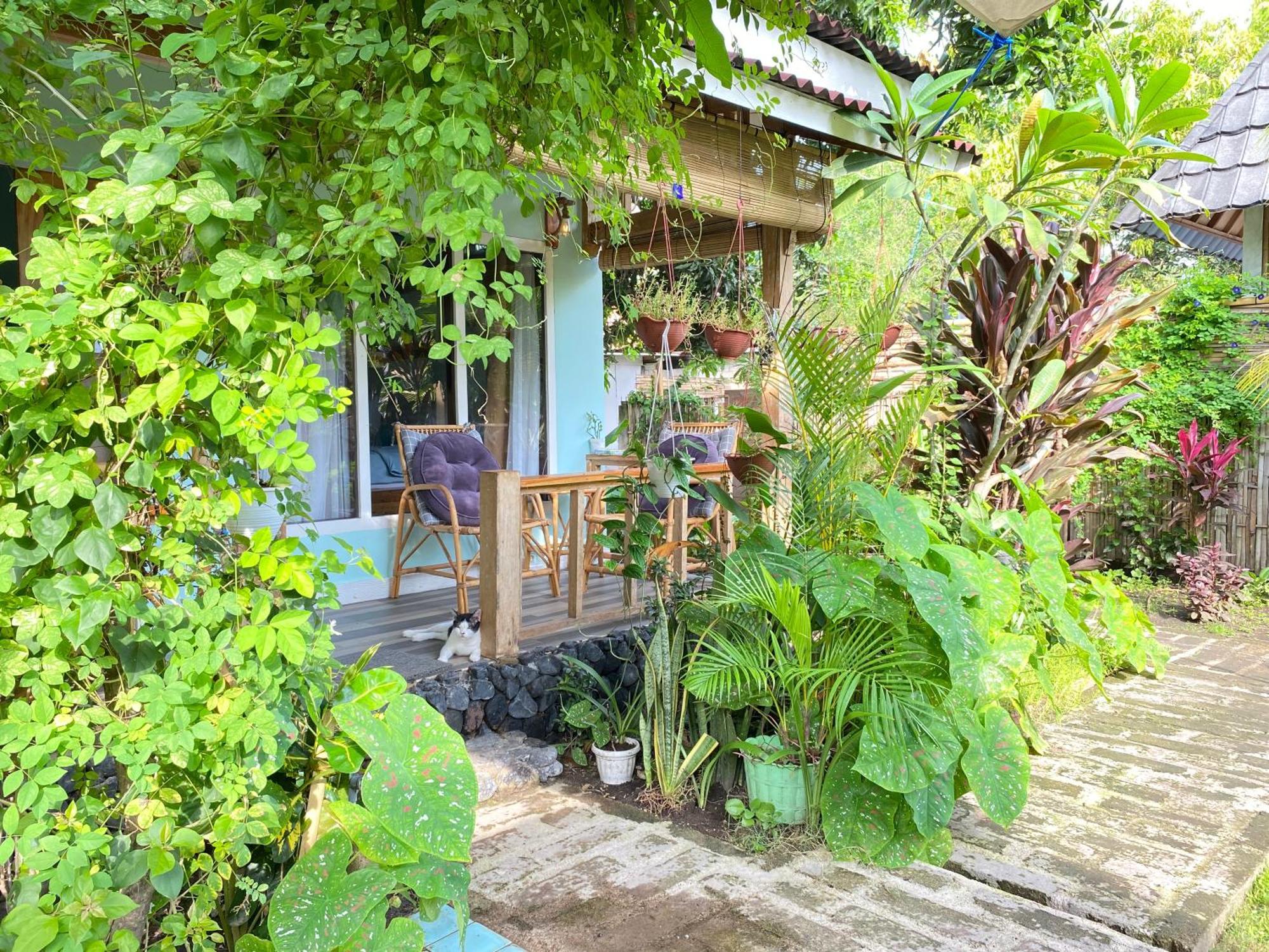 Marta House Gili Air 호텔 외부 사진